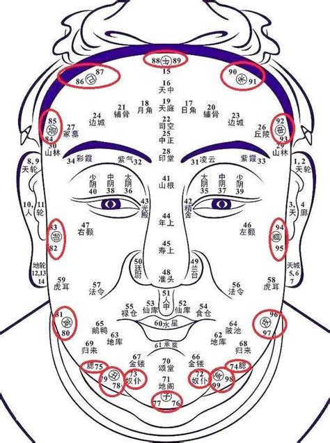 面相流年圖|面相流年图解，看穿你一生运势